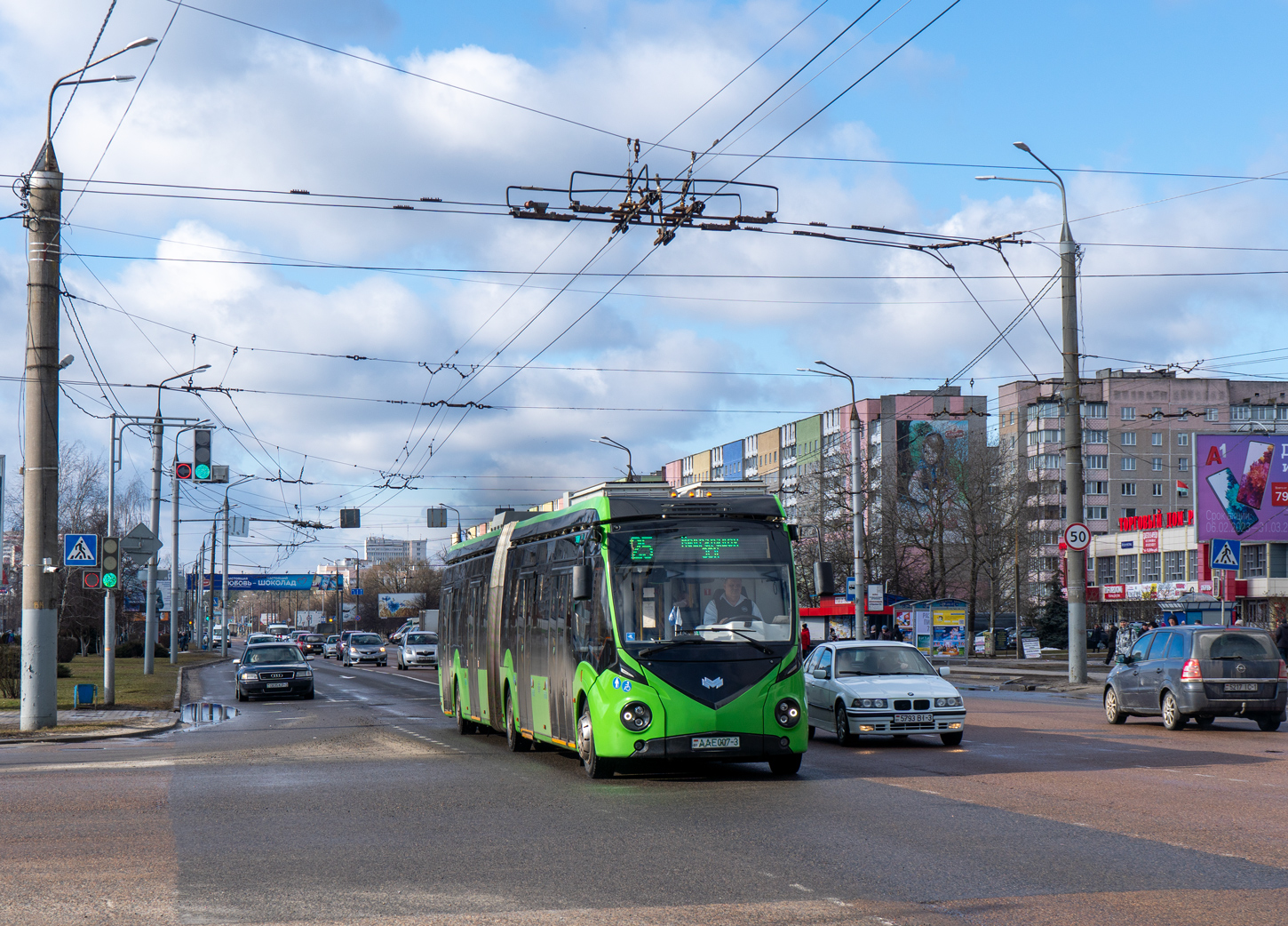 Гомельская область, E433 Vitovt Max Electro II № 26239