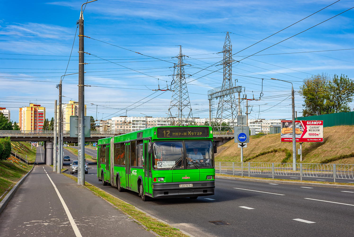 Гомельская область, МАЗ-105.065 № 25593