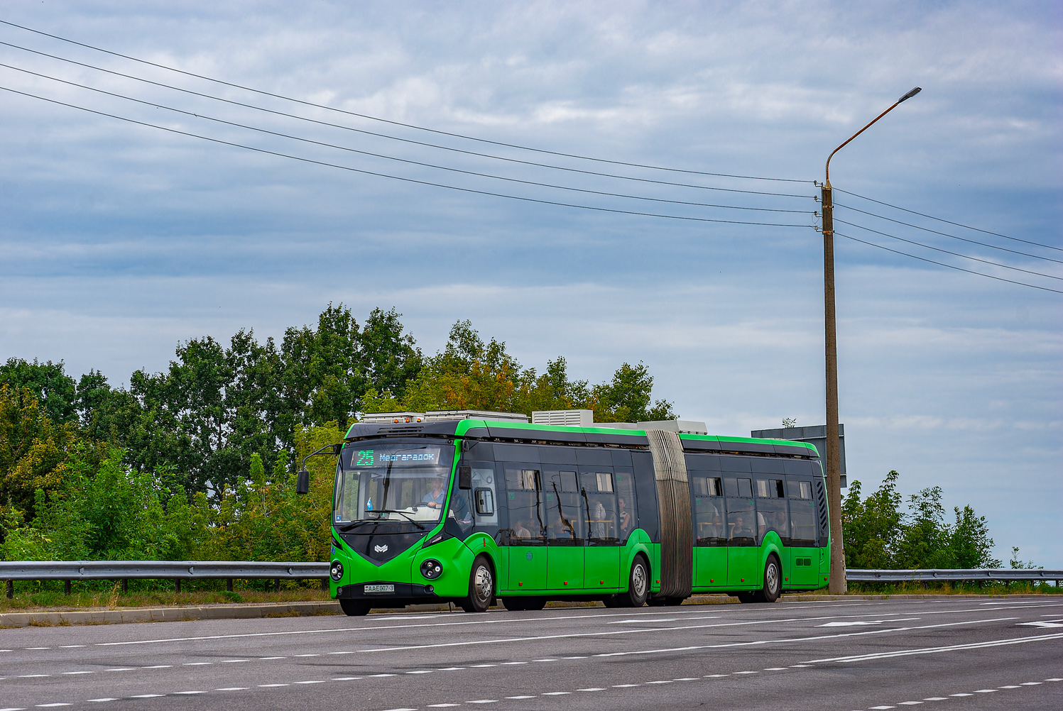 Гомельская область, E433 Vitovt Max Electro II № 26239