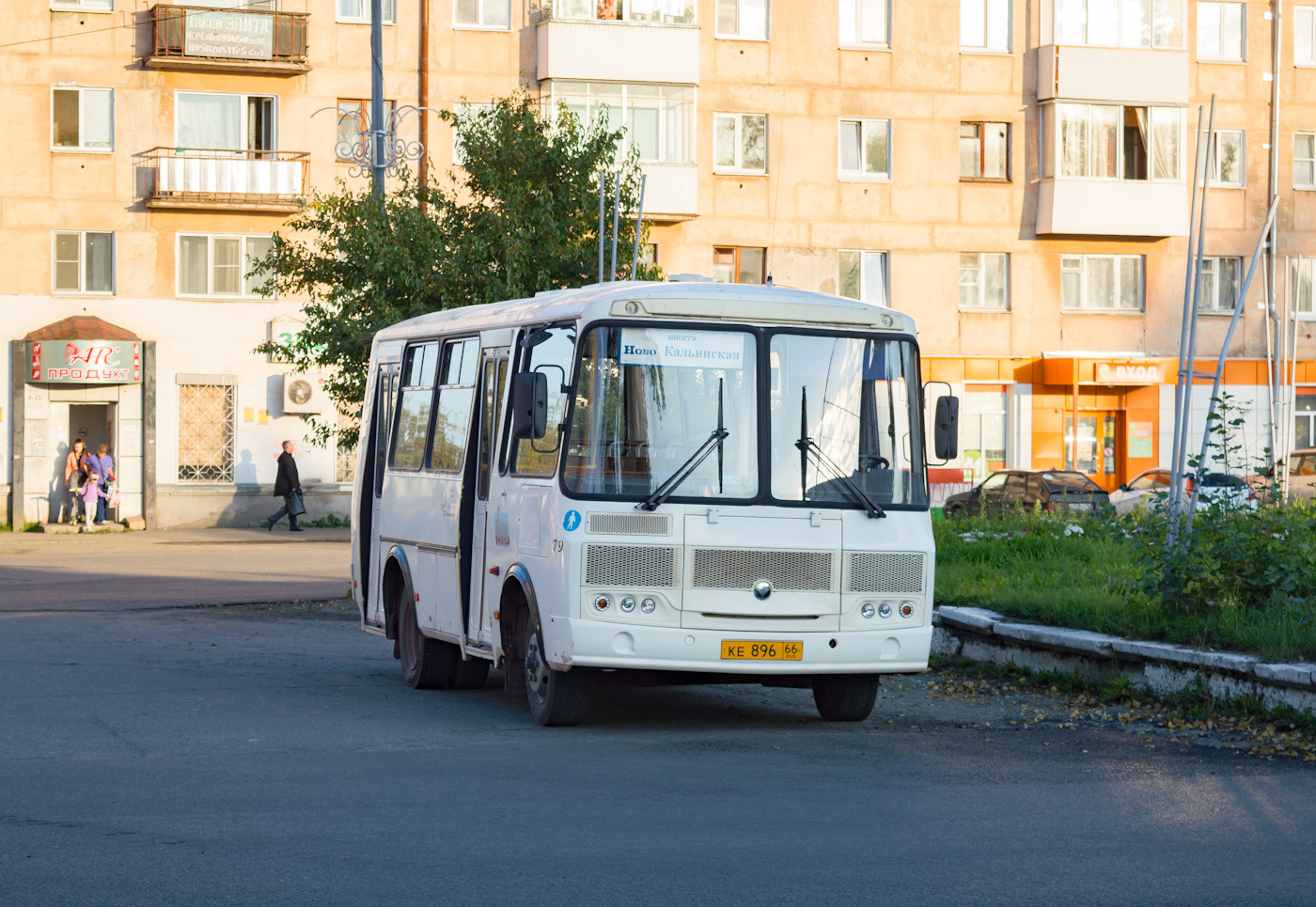 Свердловская область, ПАЗ-320540-02 № 79