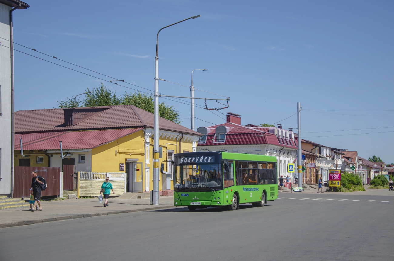Могилёвская область, МАЗ-206.047 № 31