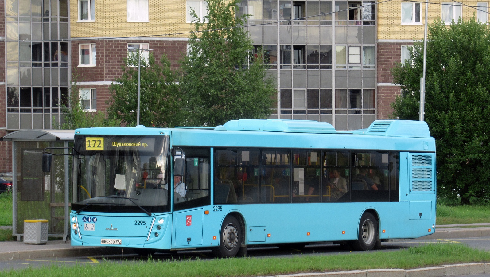 Saint Petersburg, MAZ-203.047 # 2295