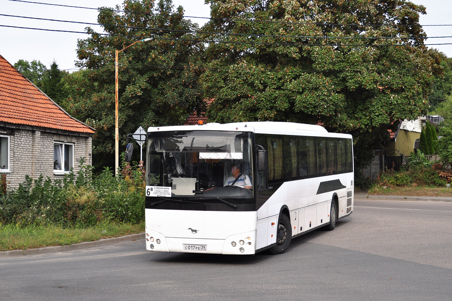 Калининградская область, TEMSA Tourmalin № С 017 РЕ 39