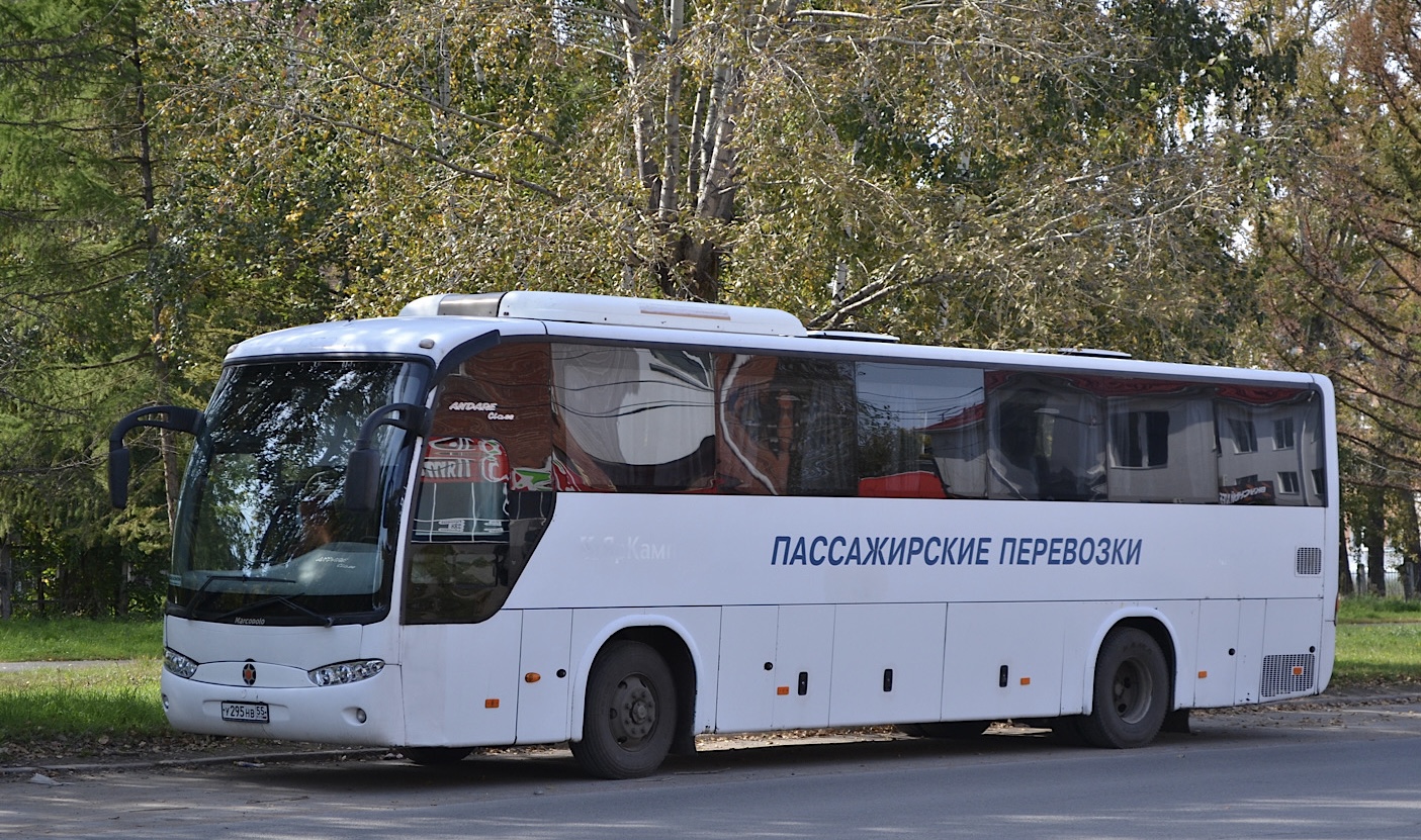 Омская область, Marcopolo Andare 1000 (ГолАЗ) (Hyundai) № У 295 НВ 55