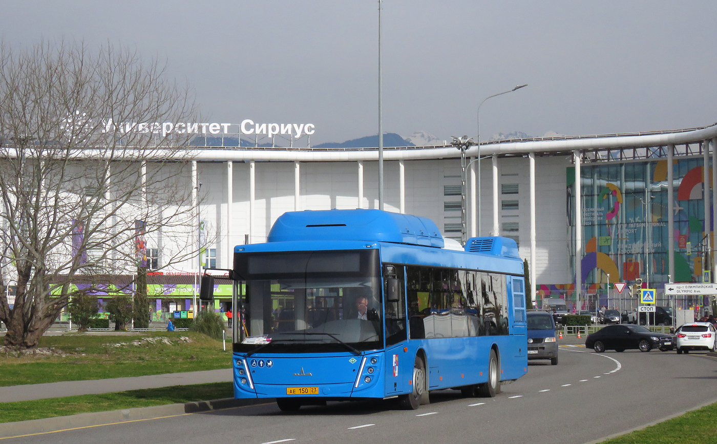 Краснадарскі край, МАЗ-203.С65 № 242032