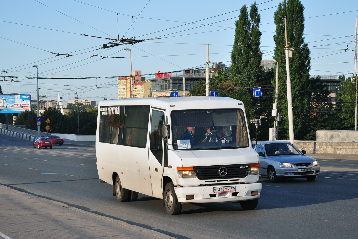 Калининградская область, Kutsenits № Р 313 УУ 39