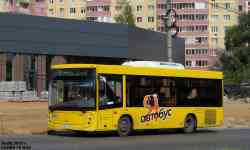 217 КБ