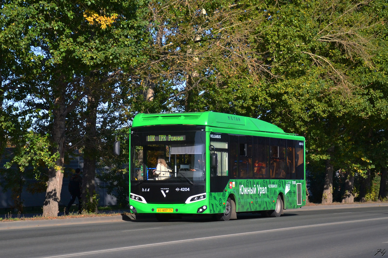 Челябинская область, Volgabus-4298.G4 (CNG) № 4204
