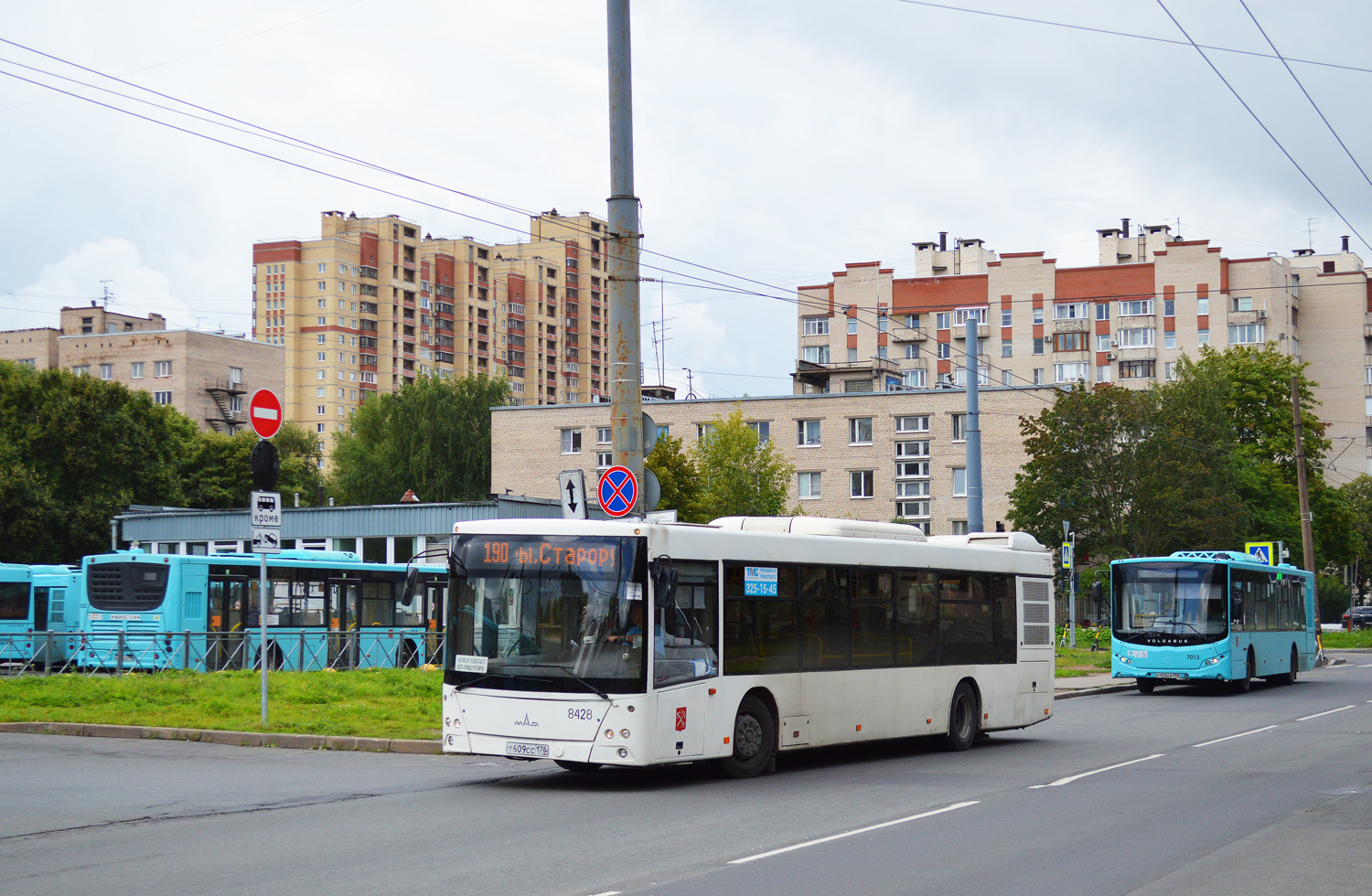 Санкт-Петербург, МАЗ-203.085 № 8428