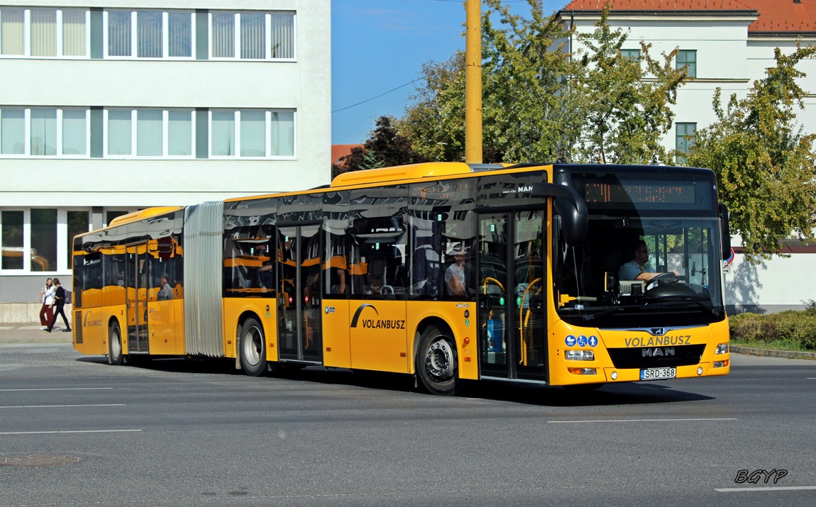Венгрия, MAN A23 Lion's City G NG363 № SRD-368