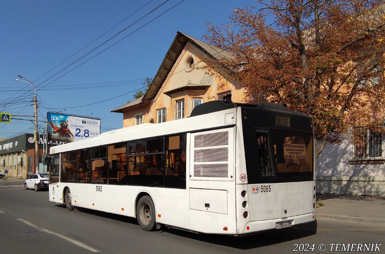 Ростовская область, МАЗ-203.069 № 5065