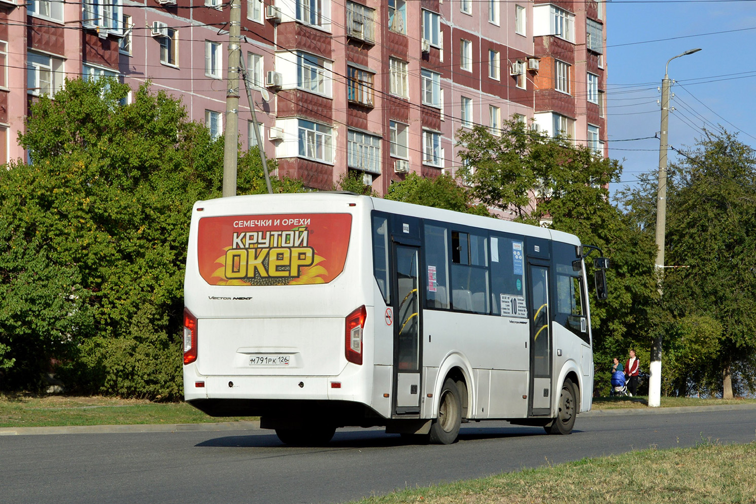 Ставропольский край, ПАЗ-320405-04 "Vector Next" № М 791 РК 126 Ставропольский край, ПАЗ-320405-04 "Vector Next" № М 791 РК 126