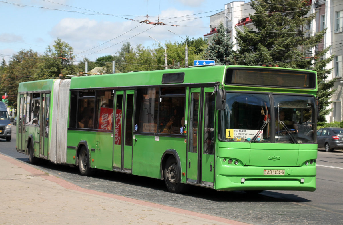 Могилёвская область, МАЗ-105.465 № 1049