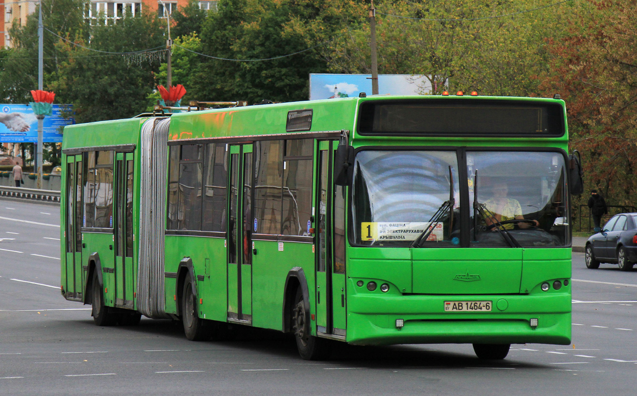 Могилёвская область, МАЗ-105.465 № 1049