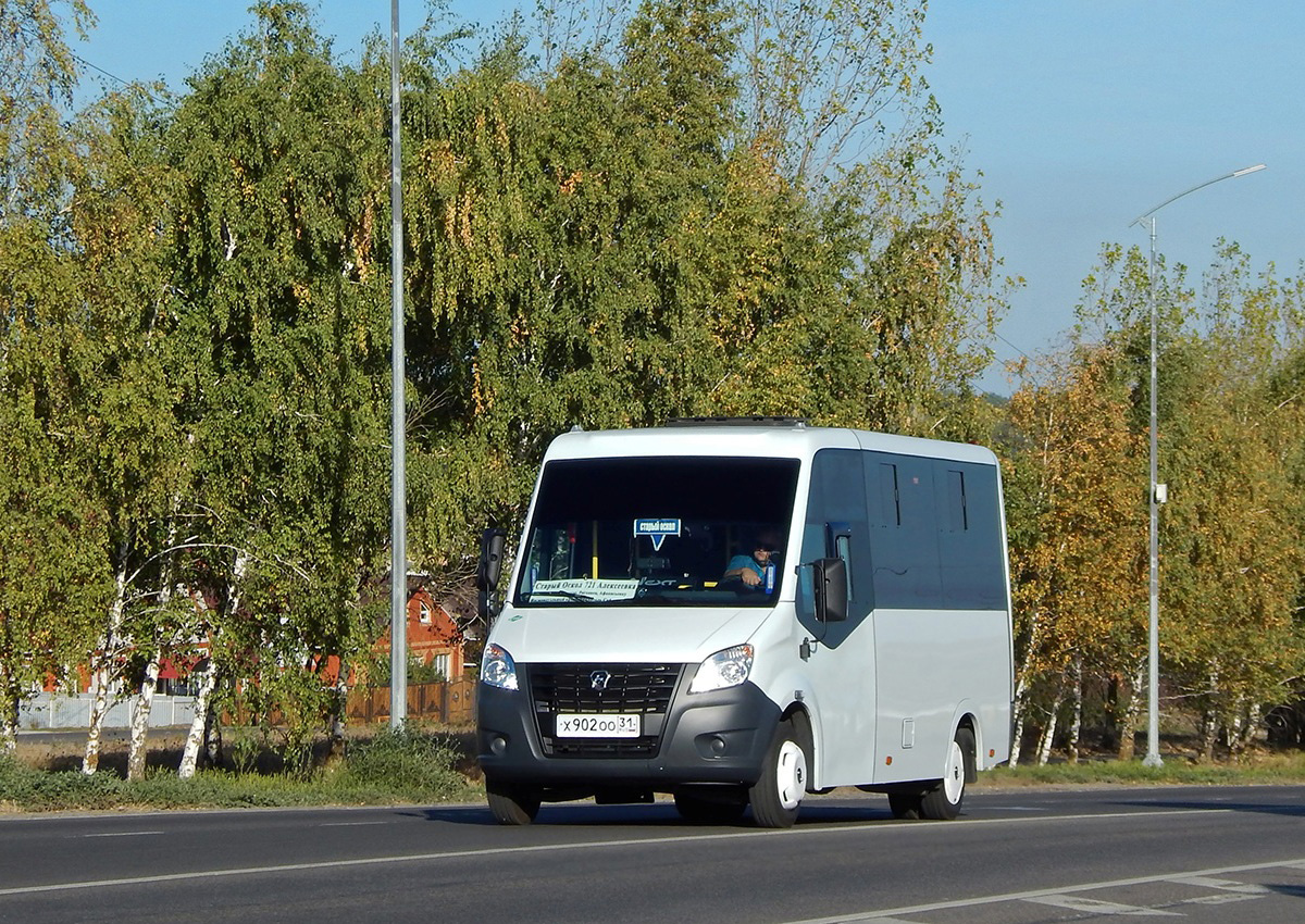 Белгородская область, ГАЗ-A63R45 Next № Х 902 ОО 31