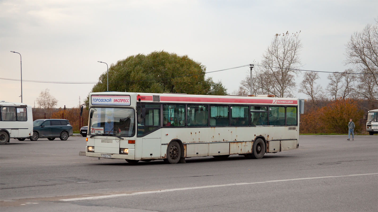 Пермский край, Mercedes-Benz O405N № С 246 РО 193