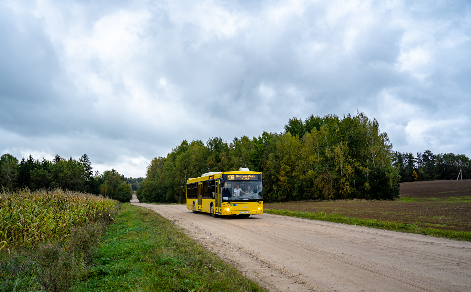 Минск, МАЗ-203.115 № 015105