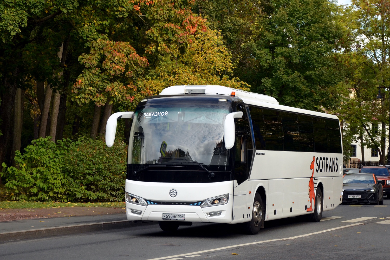 Ленинградская область, Golden Dragon XML6122J Triumph № К 696 НО 147
