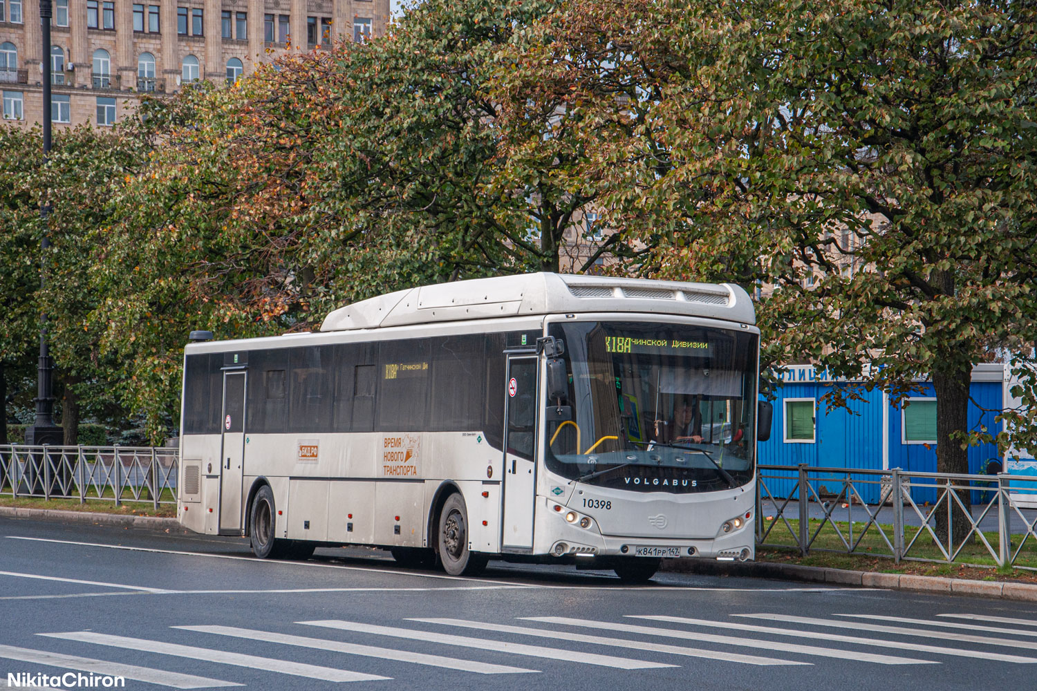 Ленинградская область, Volgabus-5285.G4 № 10398