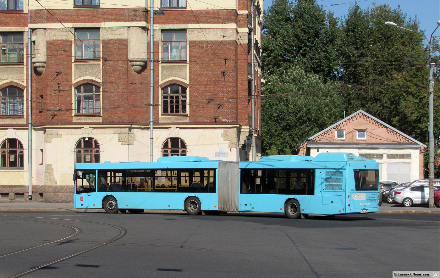 Sankt Petersburg, MAZ-216.047 Nr. 2206