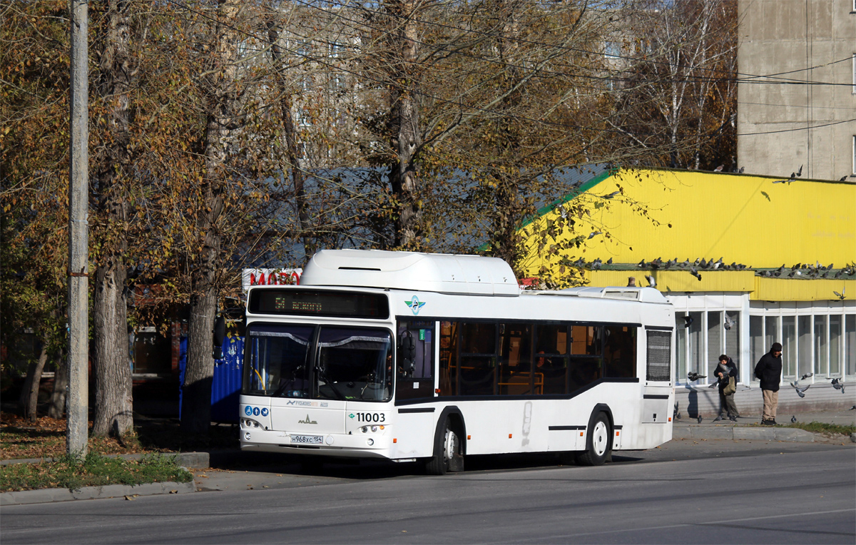 Новосибирская область, МАЗ-103.965 № 11003