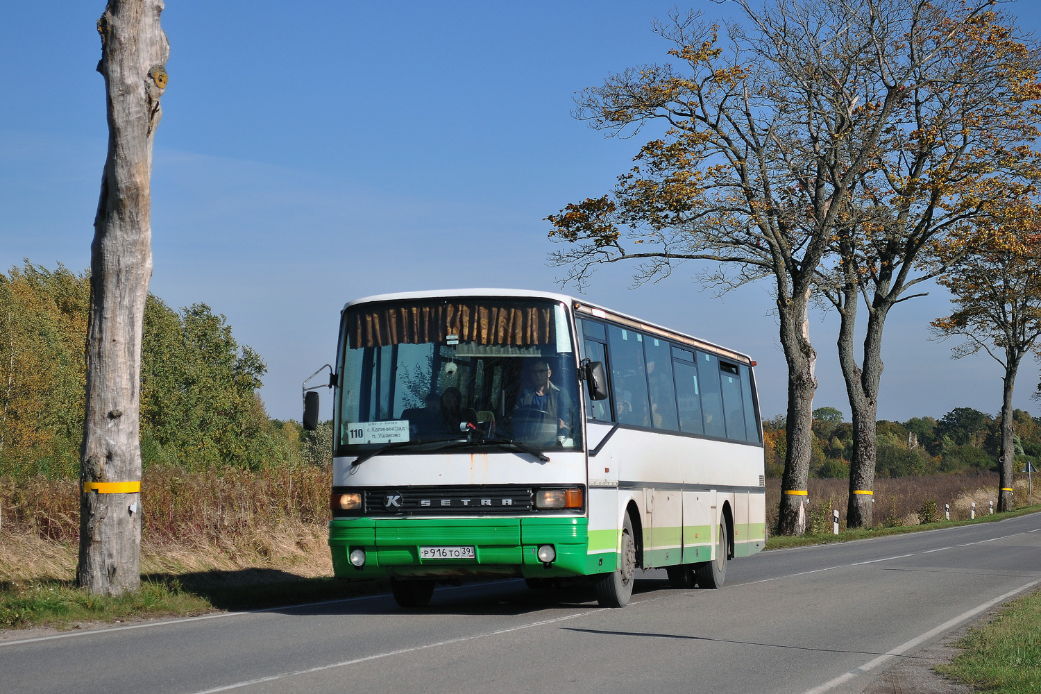 Калининградская область, Setra S213UL № Р 916 ТО 39