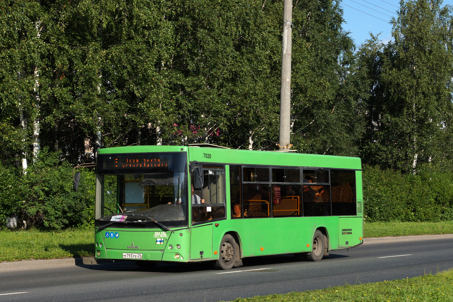 Архангельская область, МАЗ-206.086 № 7020