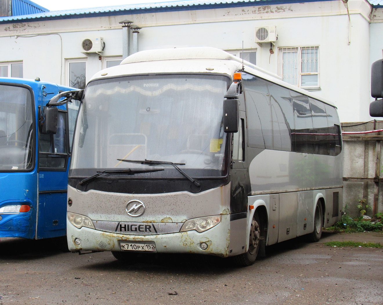 Нижегородская область, Higer KLQ6896Q2 № К 710 РХ 152