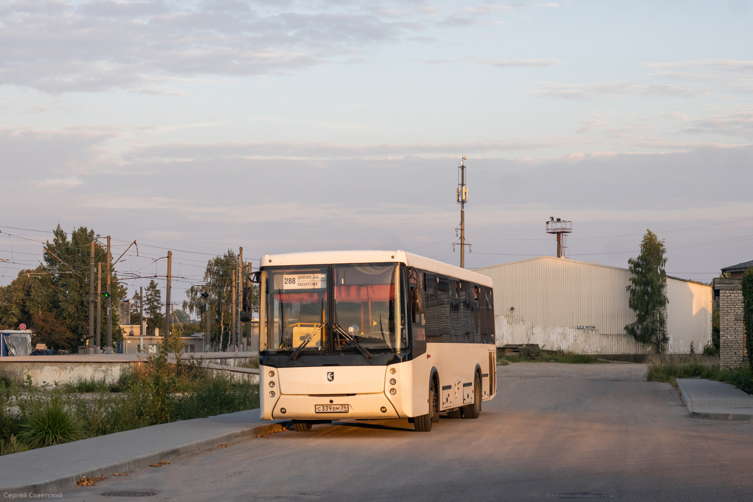 Калининградская область, НефАЗ-5299-11-52 № С 339 ВМ 39 Калининградская область, НефАЗ-5299-11-52 № С 339 ВМ 39