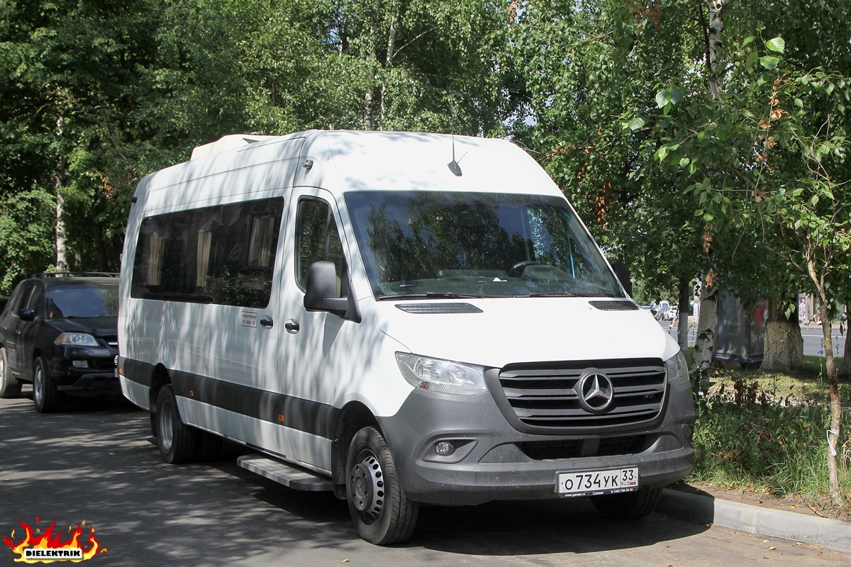Владимирская область, Луидор-223685 (MB Sprinter) № О 734 УК 33