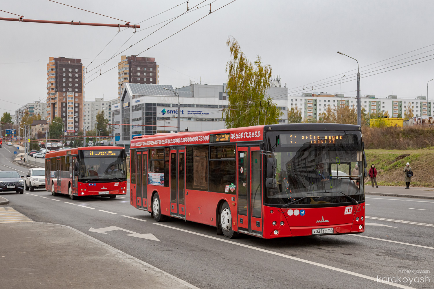 Татарстан, МАЗ-203.069 № 712