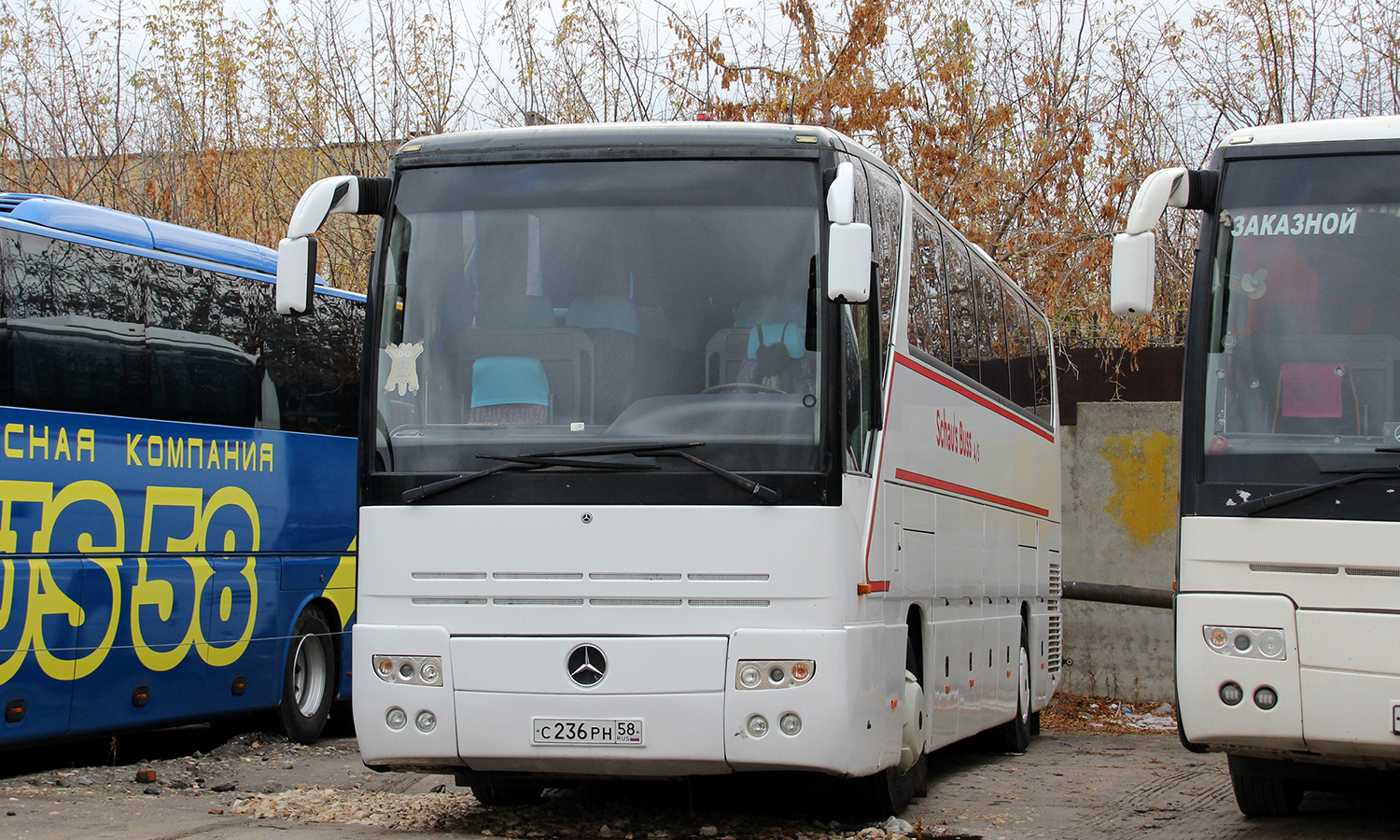 Пензенская область, Mercedes-Benz O403RHD № С 236 РН 58