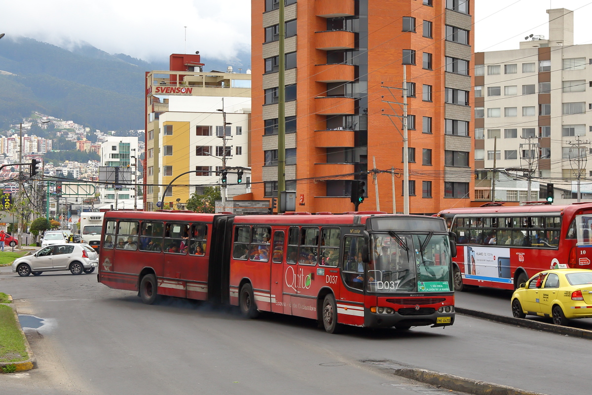 Эквадор, Marcopolo Viale № D037