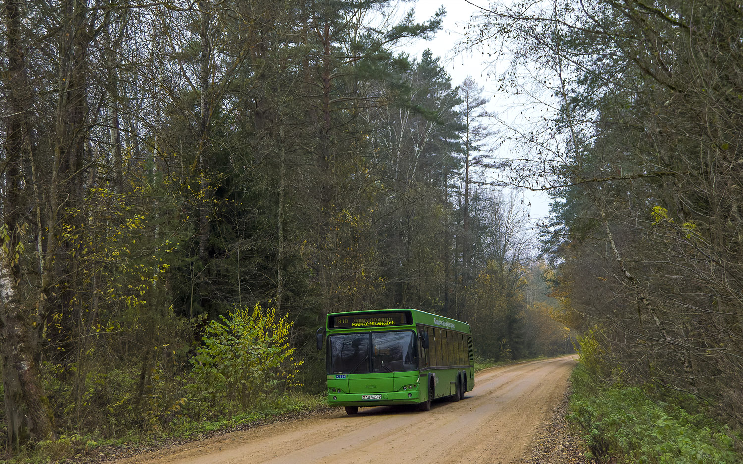 Витебская область, МАЗ-107.466 № 073962