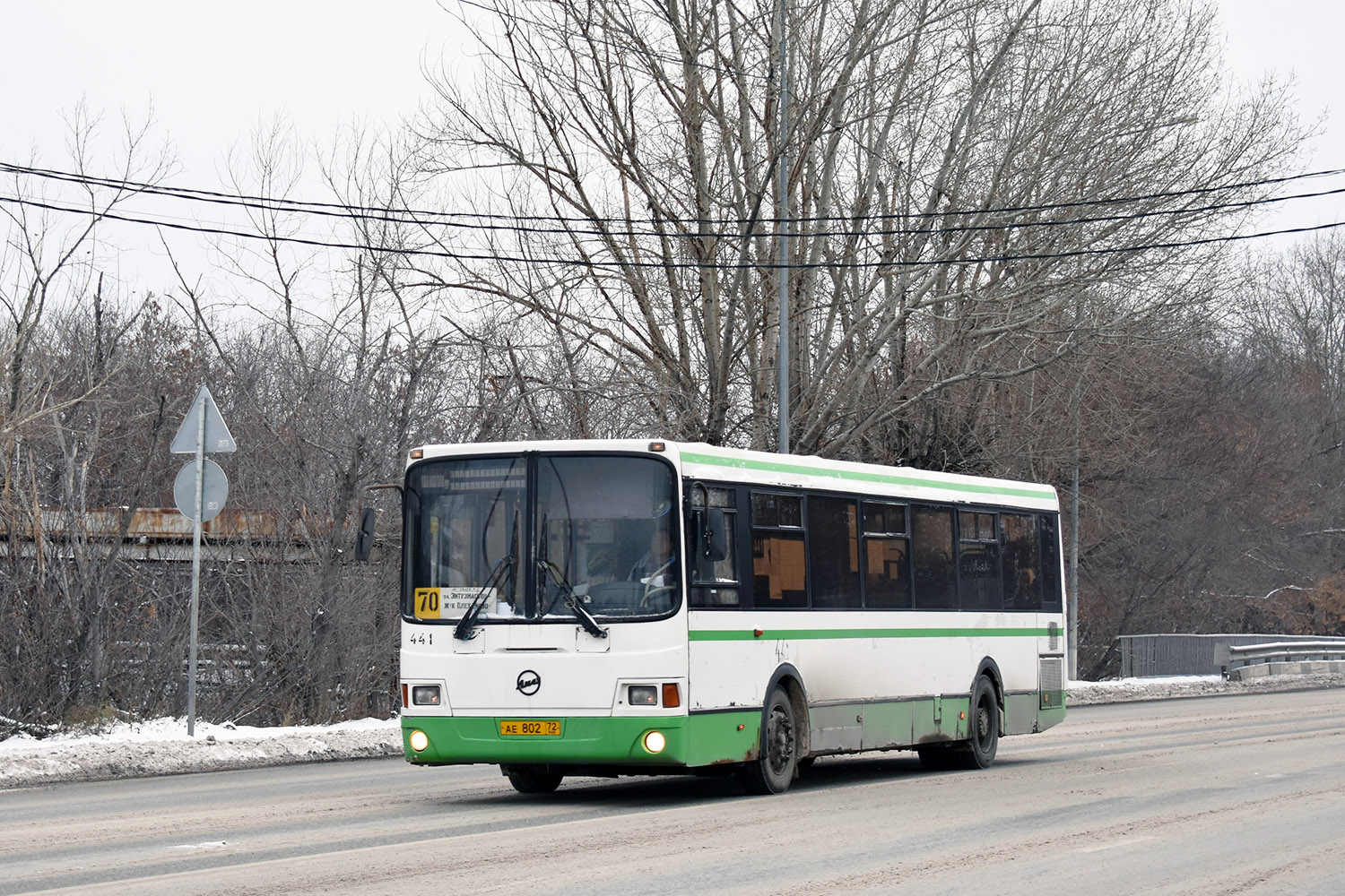 Tumen region, LiAZ-5293.53 # 441