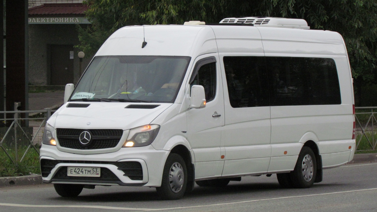 Новгородская область, Луидор-223602 (MB Sprinter) № Е 424 ТМ 53