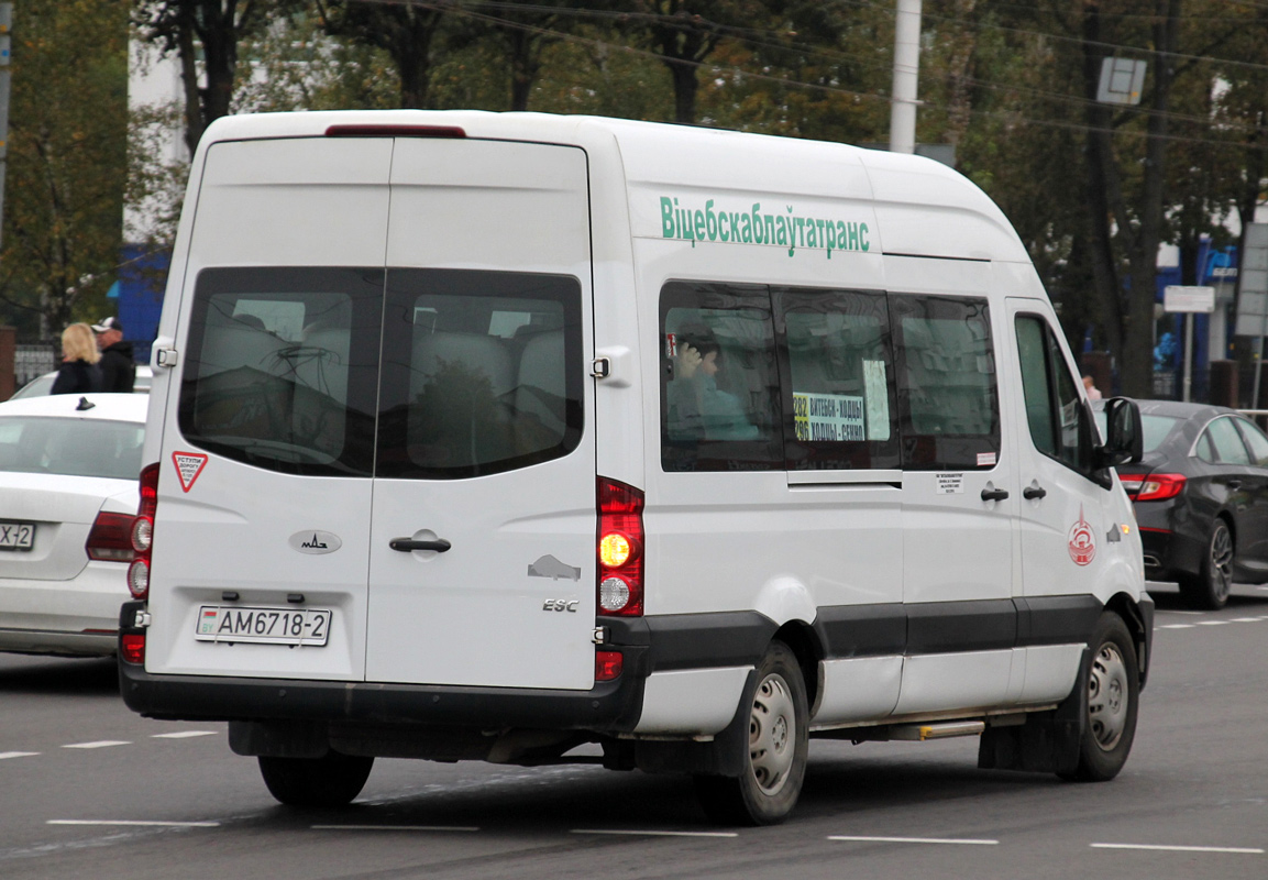 Витебская область, МАЗ-281.040 № 040230