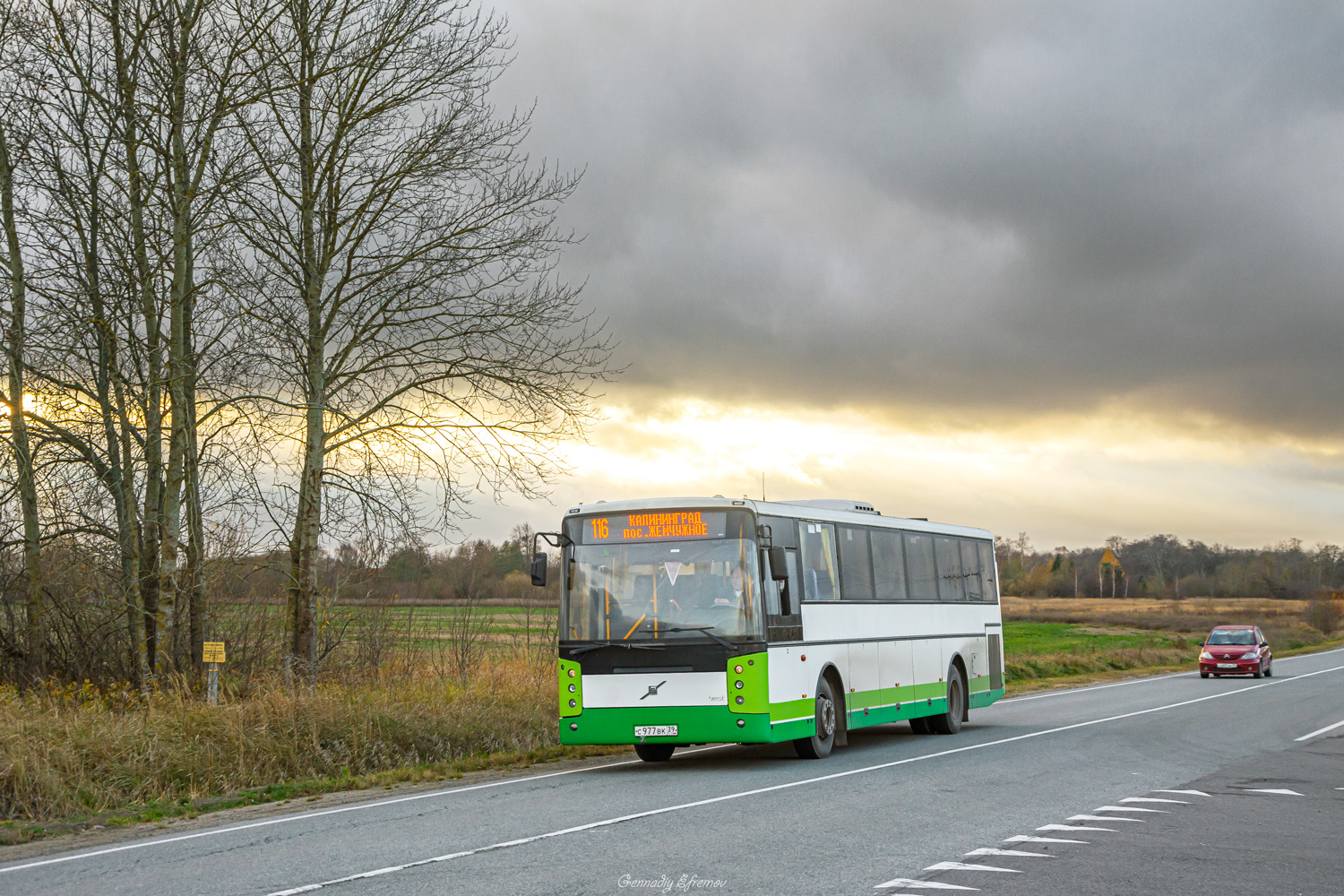 Калининградская область, Vest Contrast № С 977 ВК 39