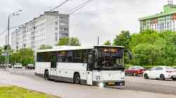 554 КБ