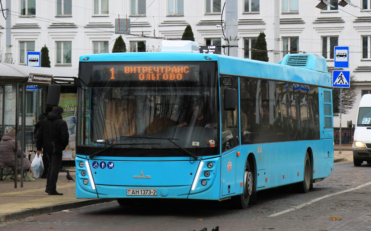 Витебская область, МАЗ-203.047 № 012459; Витебская область, (модель неизвестна) № 2 ТАХ 6291