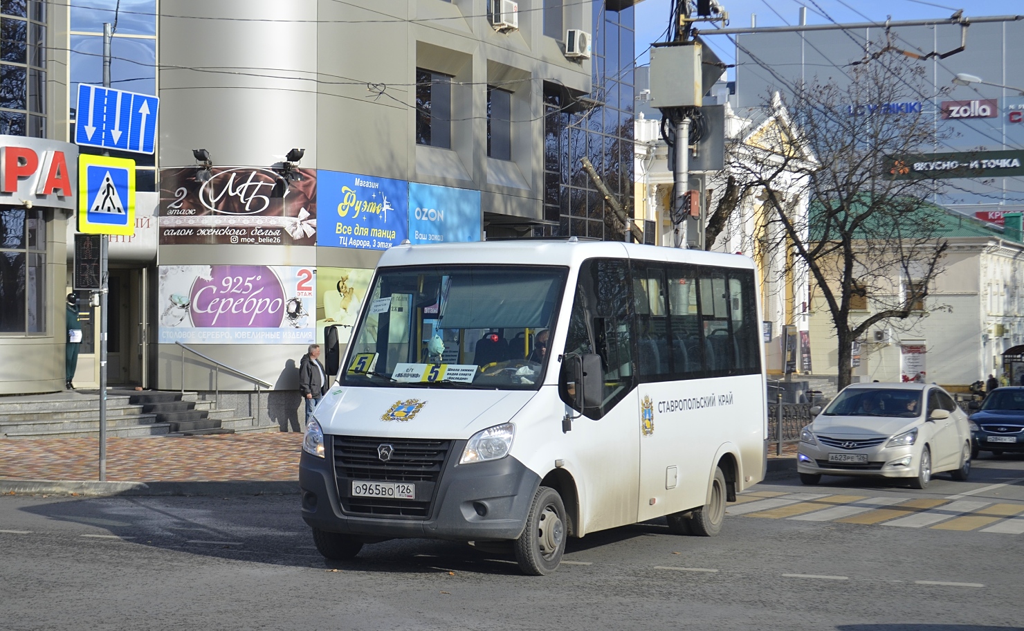 Ставропольский край, ГАЗ-A63R45 Next № 241