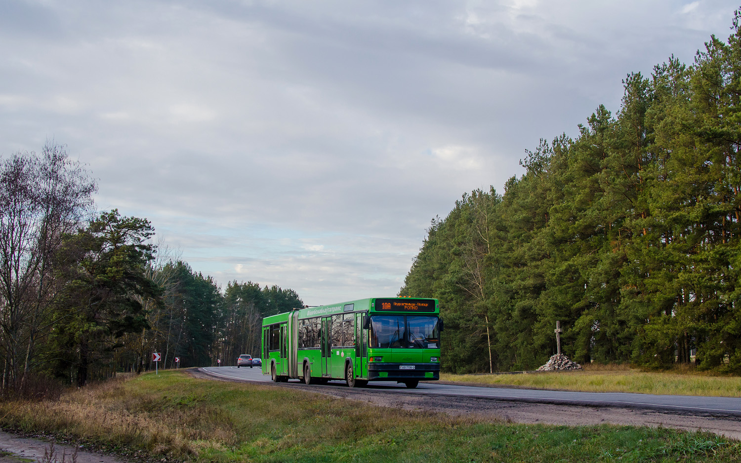 Витебская область, МАЗ-105.065 № 074331