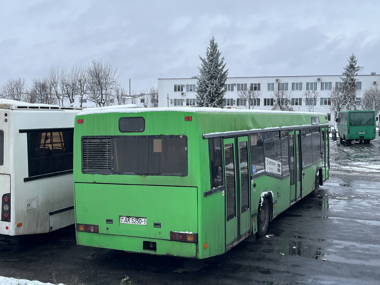 Брестская область, МАЗ-103.062 № 325