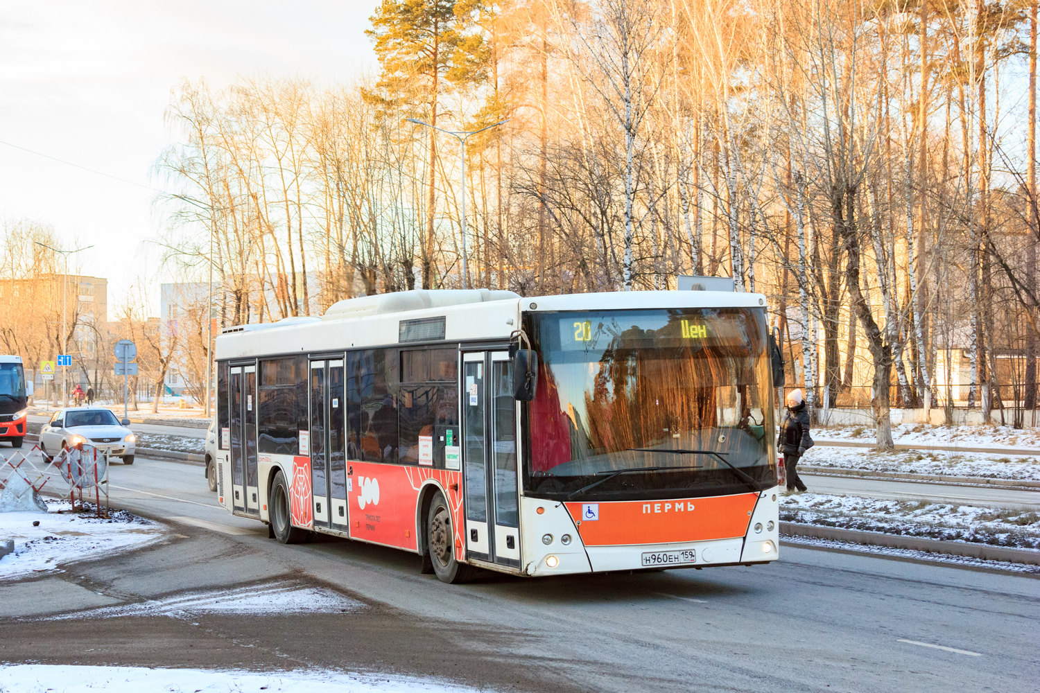 Пермский край, МАЗ-203.016 № Н 960 ЕН 159