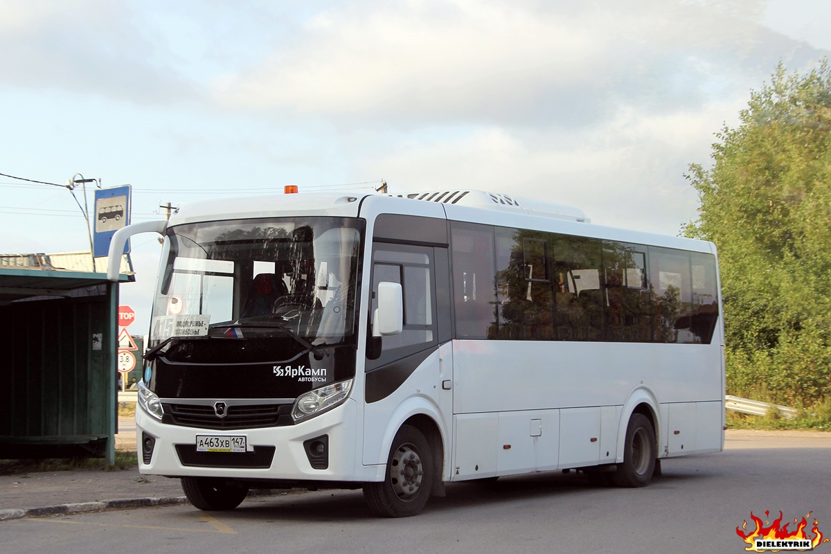 Ленинградская область, ПАЗ-320455-04 "Vector Next" (межгород) № А 463 ХВ 147