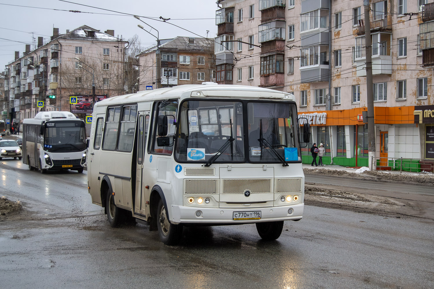Свердловская область, ПАЗ-320530-04 № С 770 НТ 196