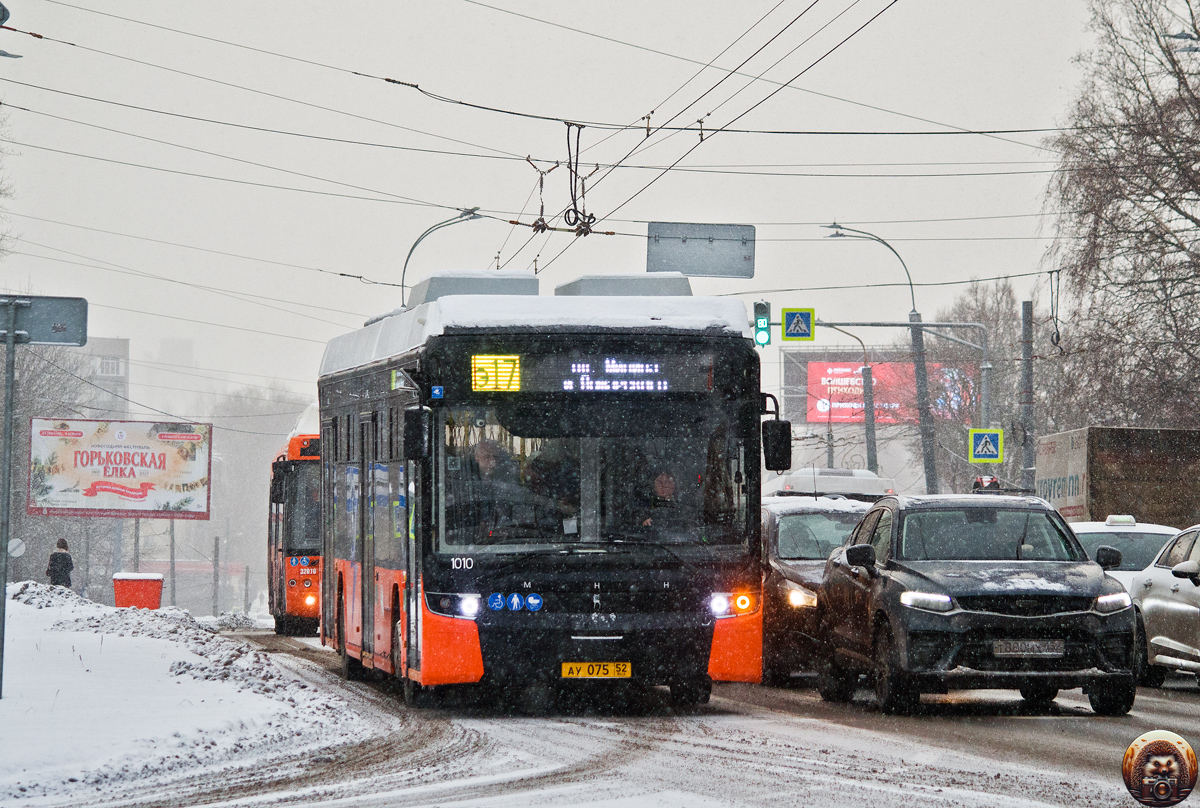Нижегородская область, Нижэкотранс-6256 (БКМ-Е450) № 1010