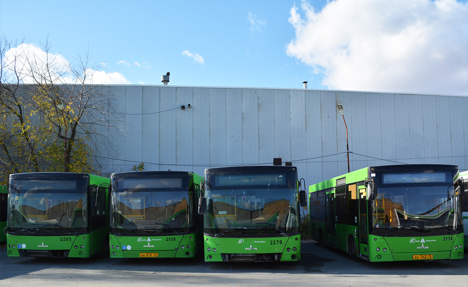 Tyumenyi terület, MAZ-206.068 sz.: 2276; Tyumenyi terület, MAZ-206.085 sz.: 2174; Tyumenyi terület &mdash; Buses organizations