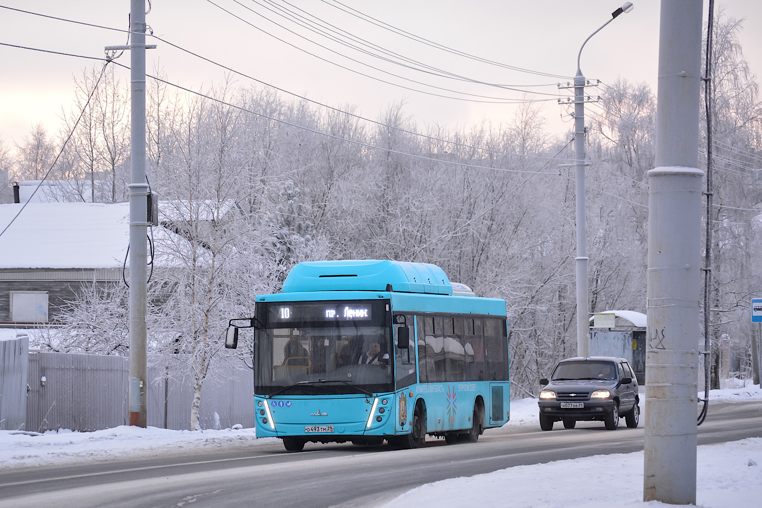 Архангельская область, МАЗ-206.948 № О 493 ТМ 29