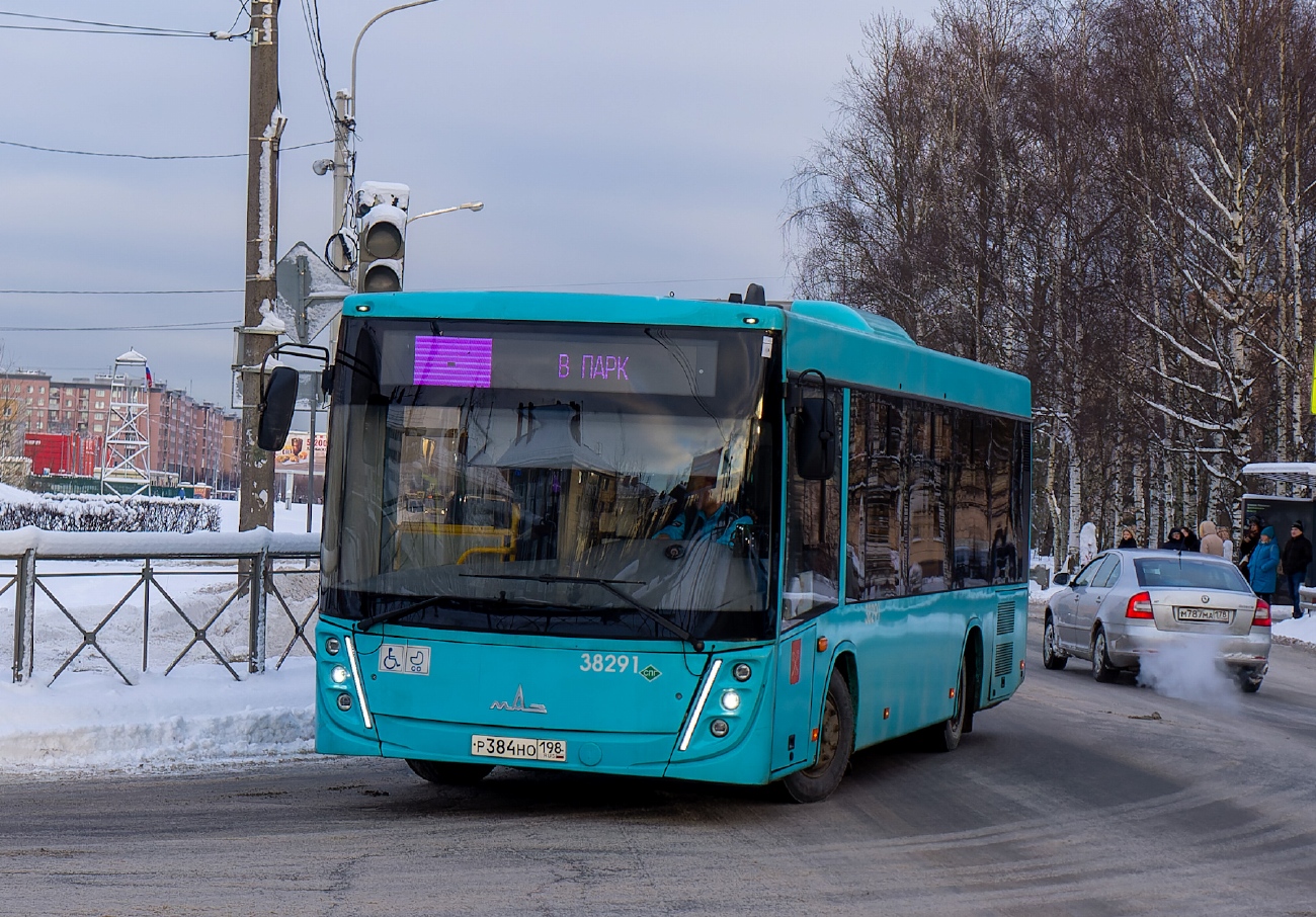Санкт-Петербург, МАЗ-206.947 № 38291